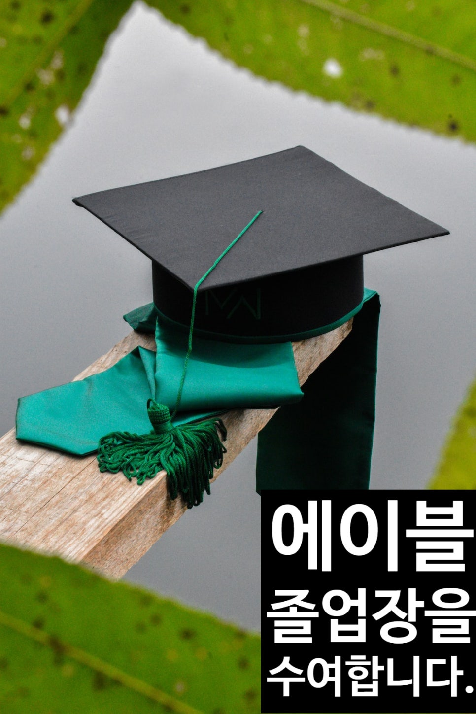 에이블플랜 이미지