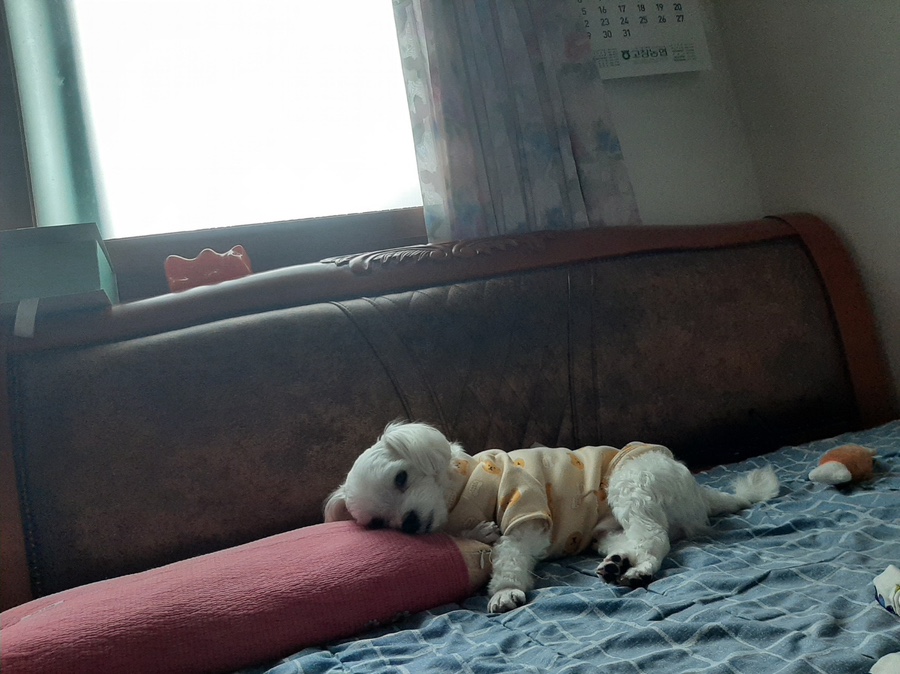 정훈이네집 이미지