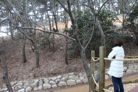 태양이용원 이미지