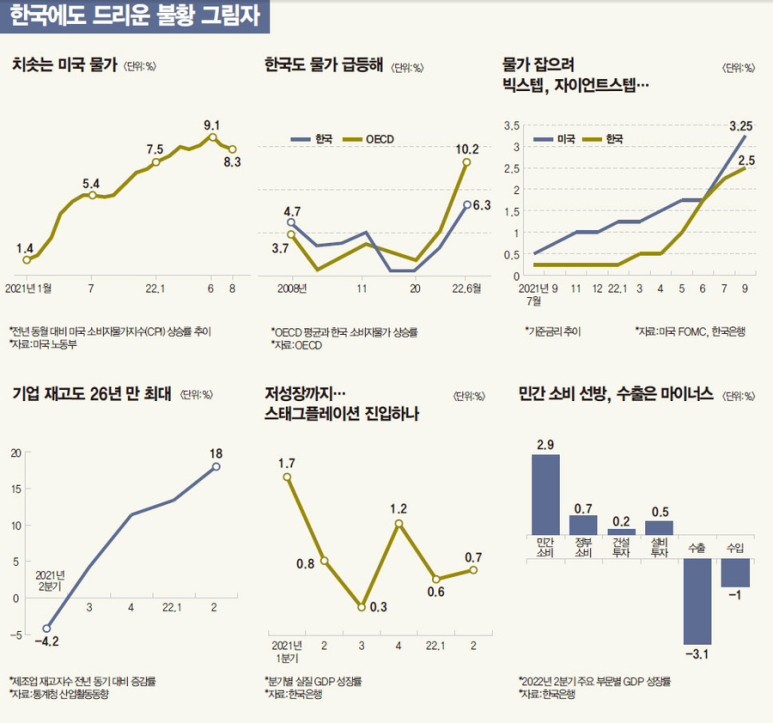 디앤티솔루션 이미지