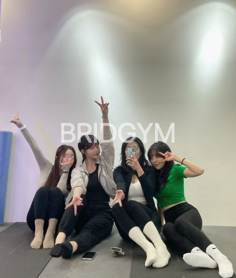브릿짐 이미지