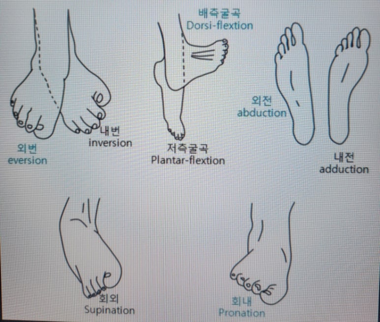 그레이트짐 이미지