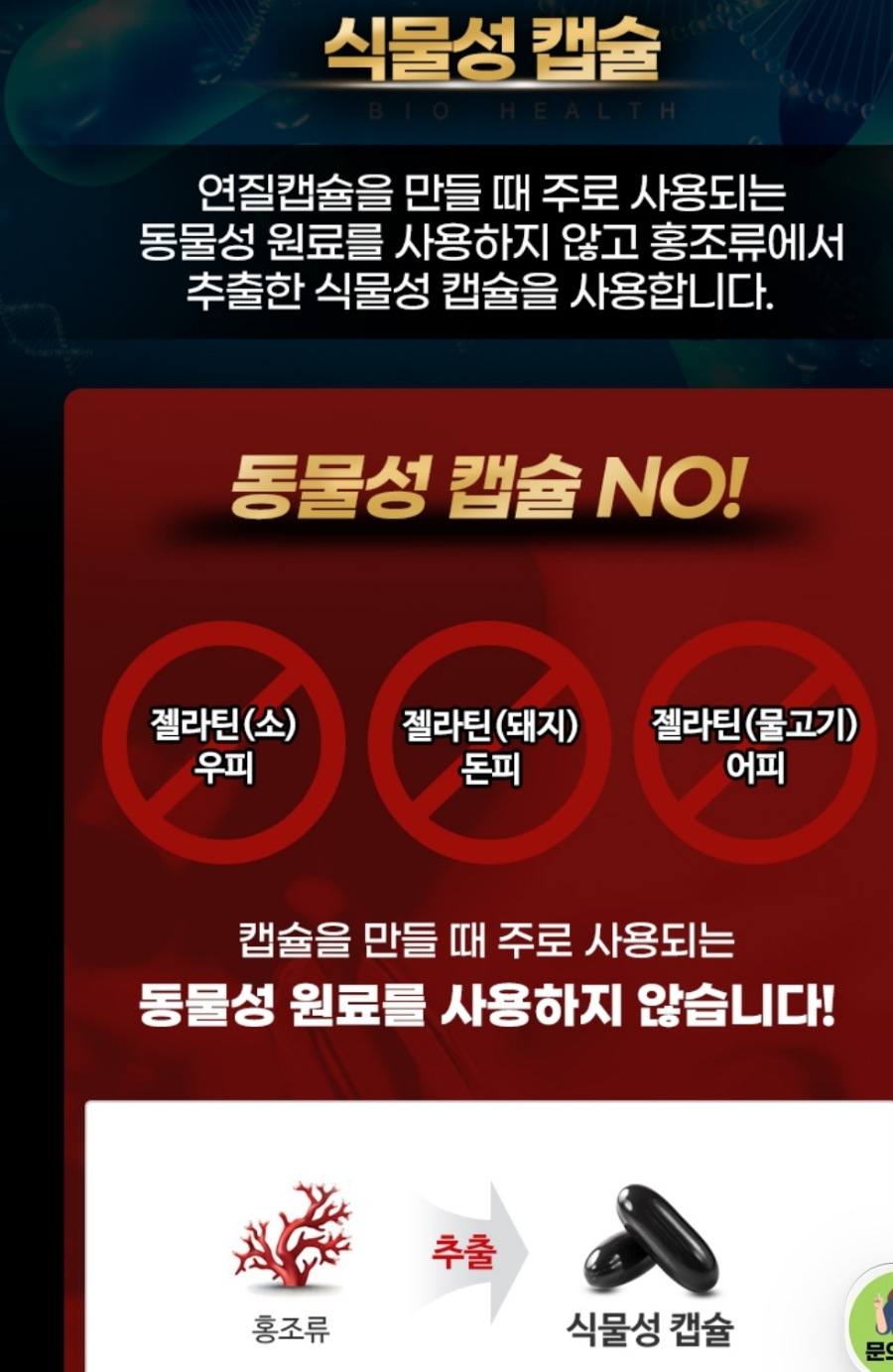 블루션 이미지