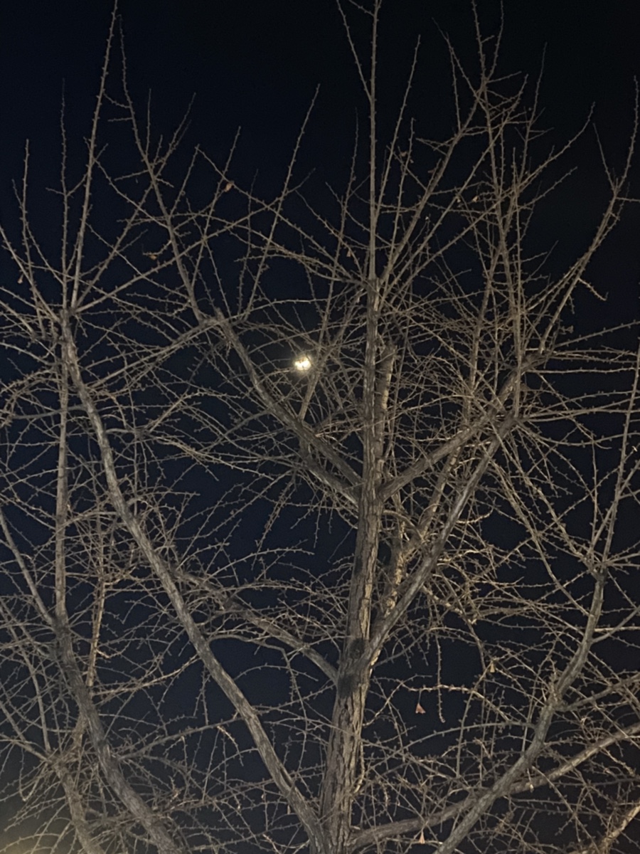 세무법인동인 이미지