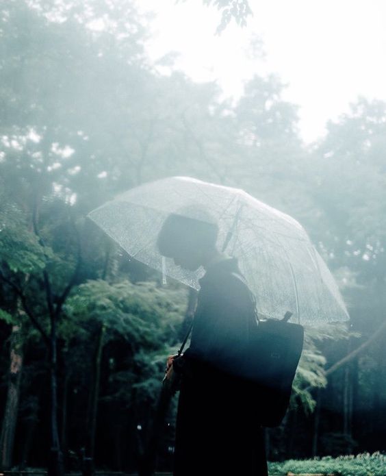 더레인(The rain) 이미지