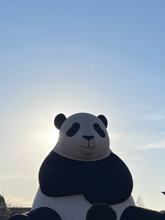 파이드정희 이미지