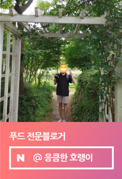 딜리타이 이미지