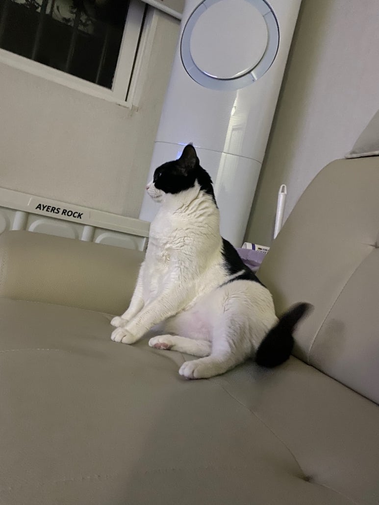 가나냉동냉장 이미지
