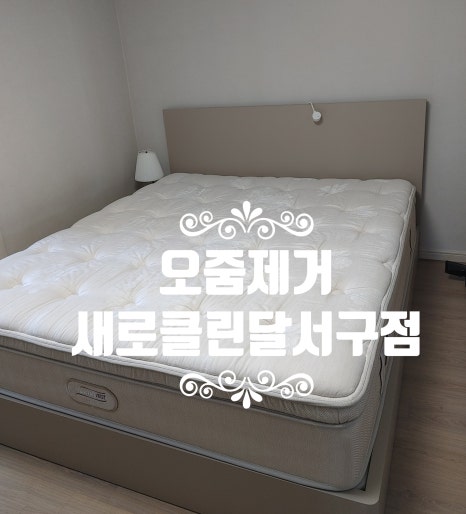 선명방역청소 이미지
