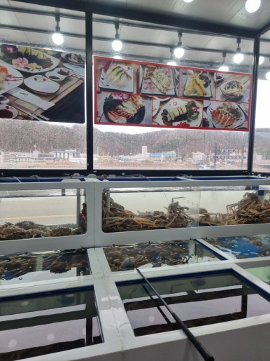 대게조아 이미지