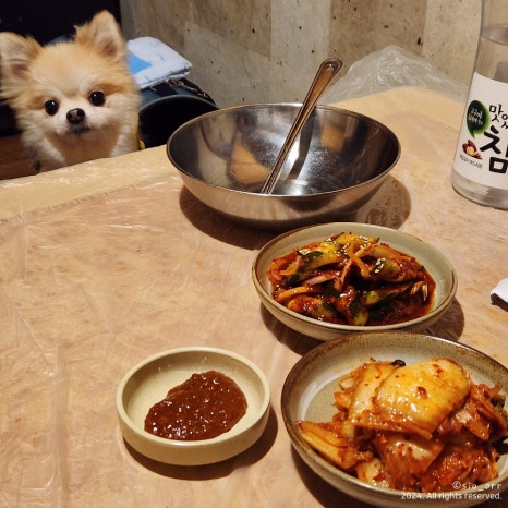 궁상각치우 이미지