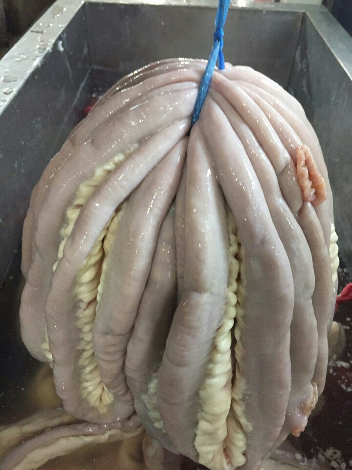 두레유통 이미지