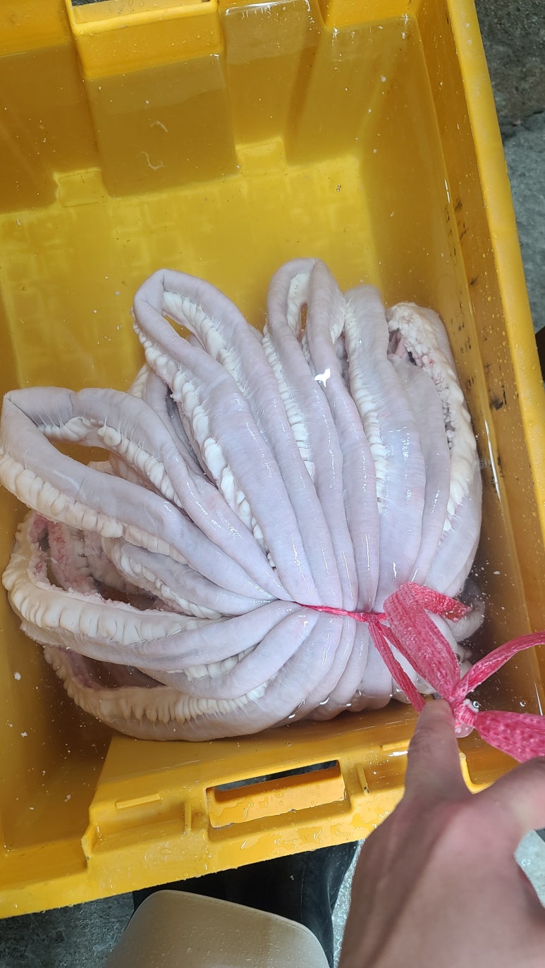 두레유통 이미지