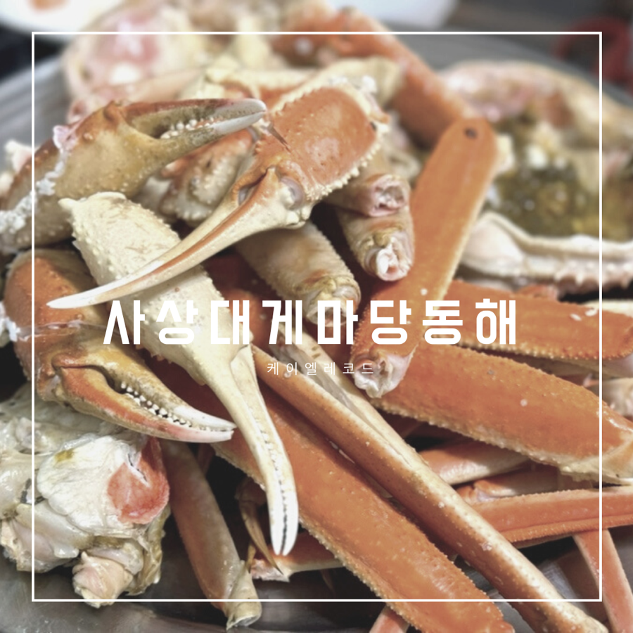 대게마당동해 이미지