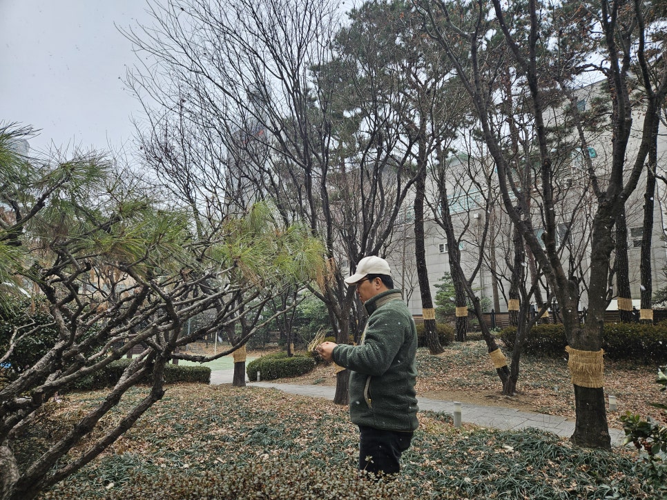 세이브트리엑스퍼트 이미지