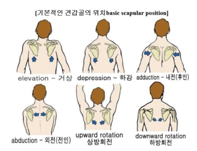 헬썸짐 이미지