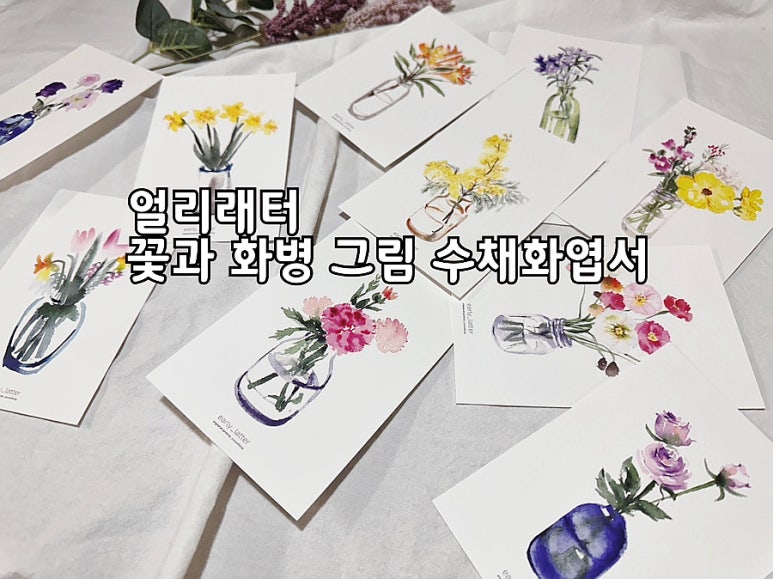 얼리래터 이미지