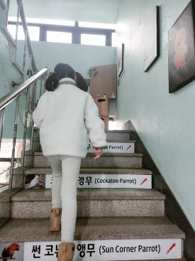 광주앵카페 이미지