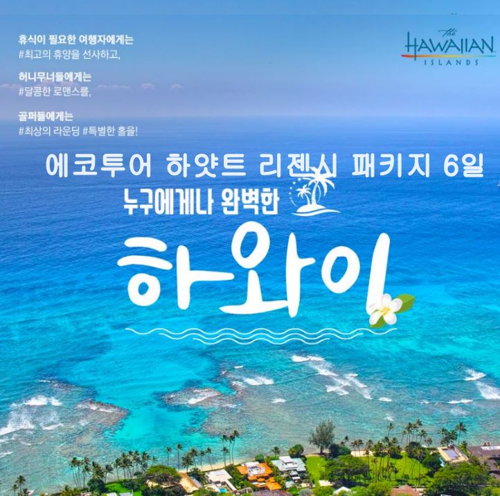 에코투어 이미지
