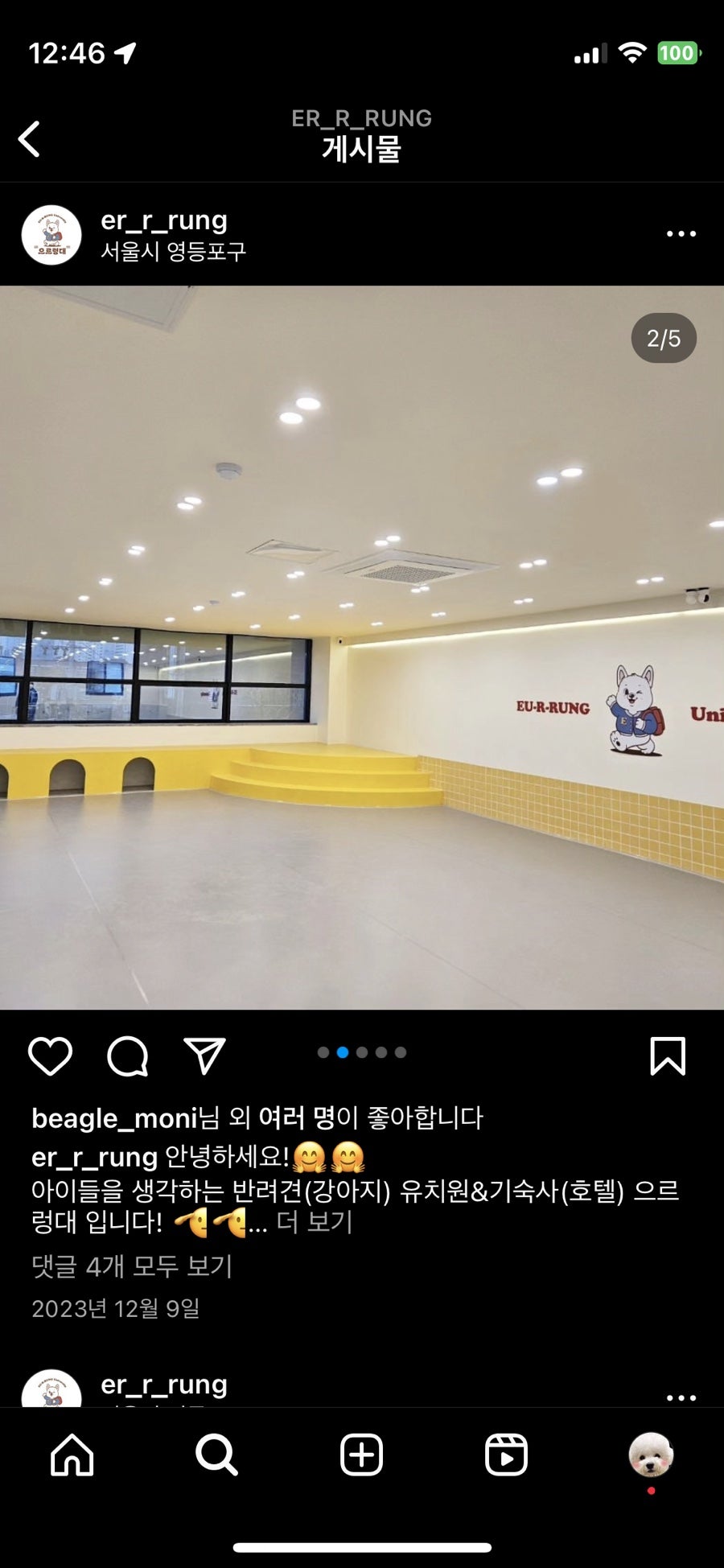 영등포 강아지 유치원 '으르렁대' 방문 후기 및 비용 — 사진 8