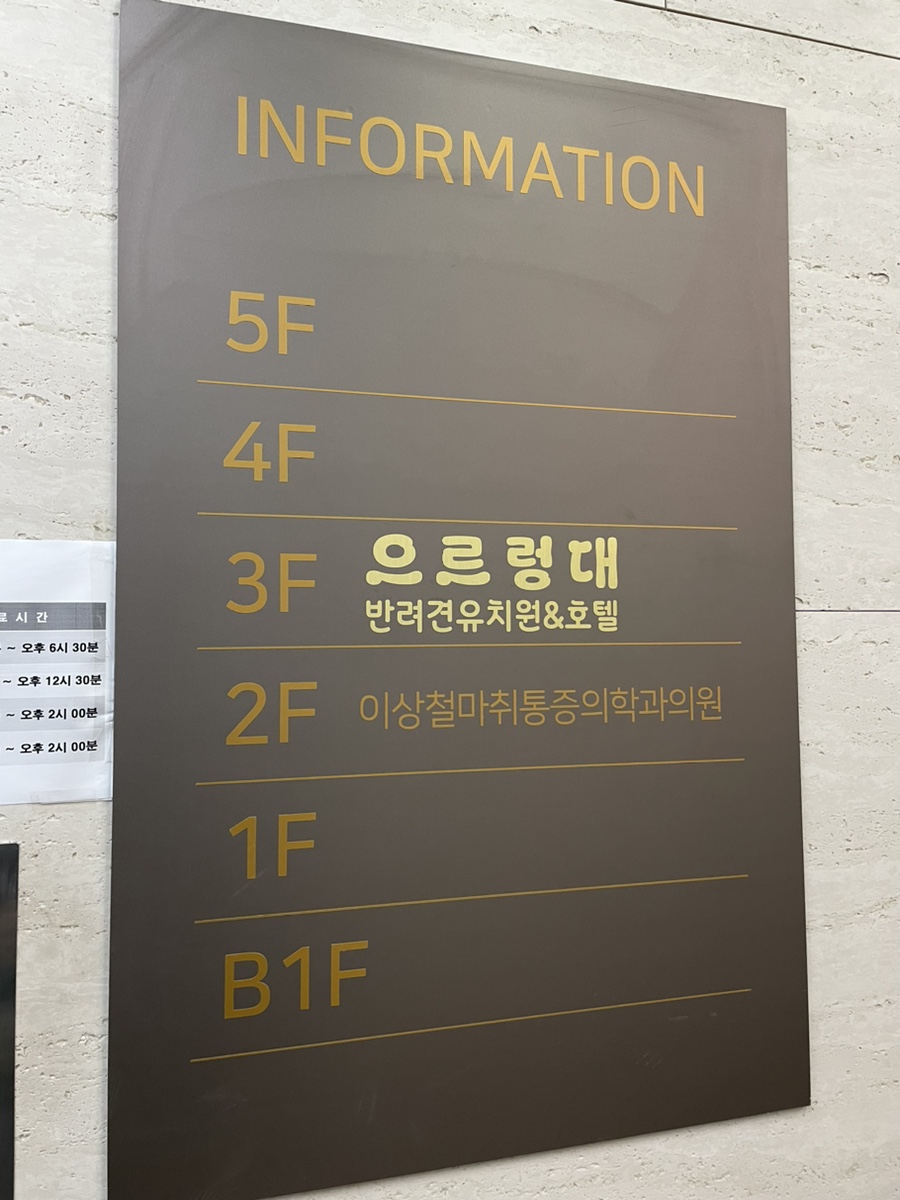 영등포 강아지 유치원 '으르렁대' 방문 후기 및 비용 — 사진 3