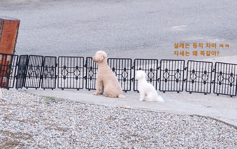 명달야영장 이미지