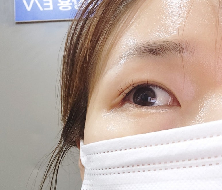 벨로제이 이미지