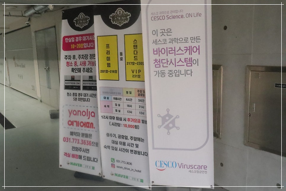 가자무인텔 이미지