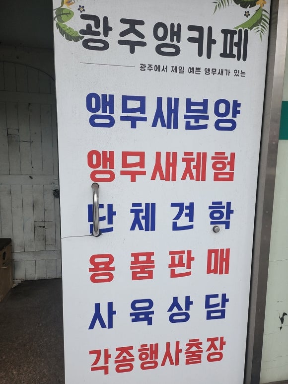 광주앵카페 이미지