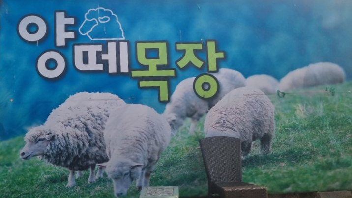 법인울산양떼목장 이미지