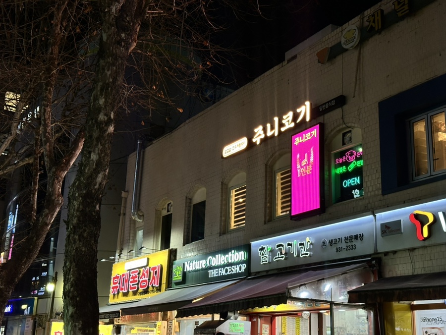 주니코기 이미지