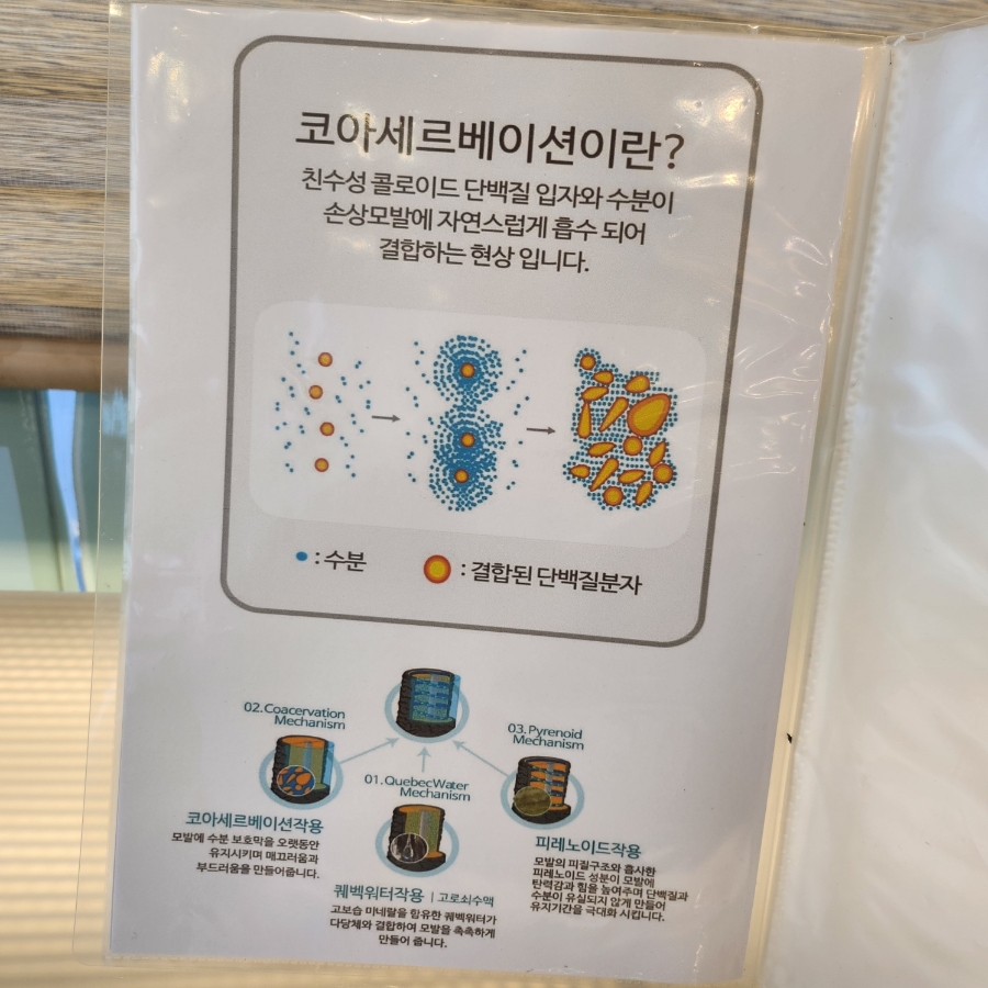 플러스카클리닉 이미지