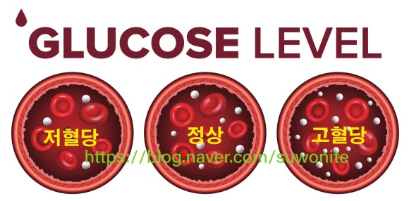 유식품 이미지