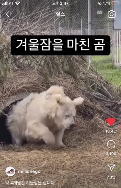 훈이정육점 이미지