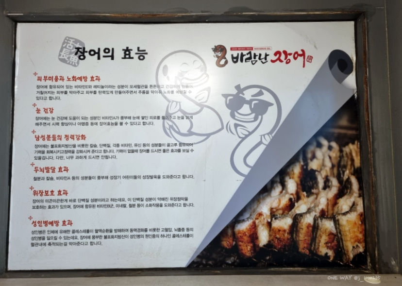 바람난장어 이미지