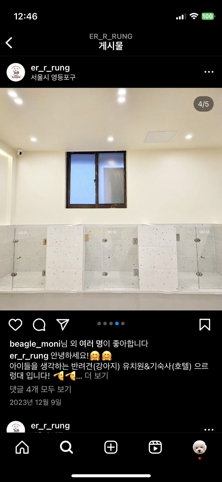 영등포 강아지 유치원 '으르렁대' 방문 후기 및 비용 — 사진 9