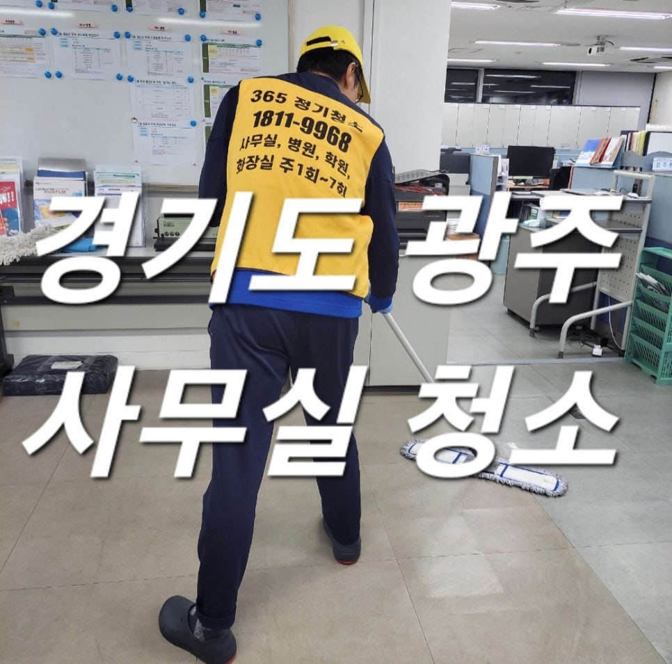 돌핀크린 이미지