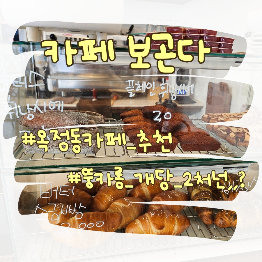 보곤다 이미지