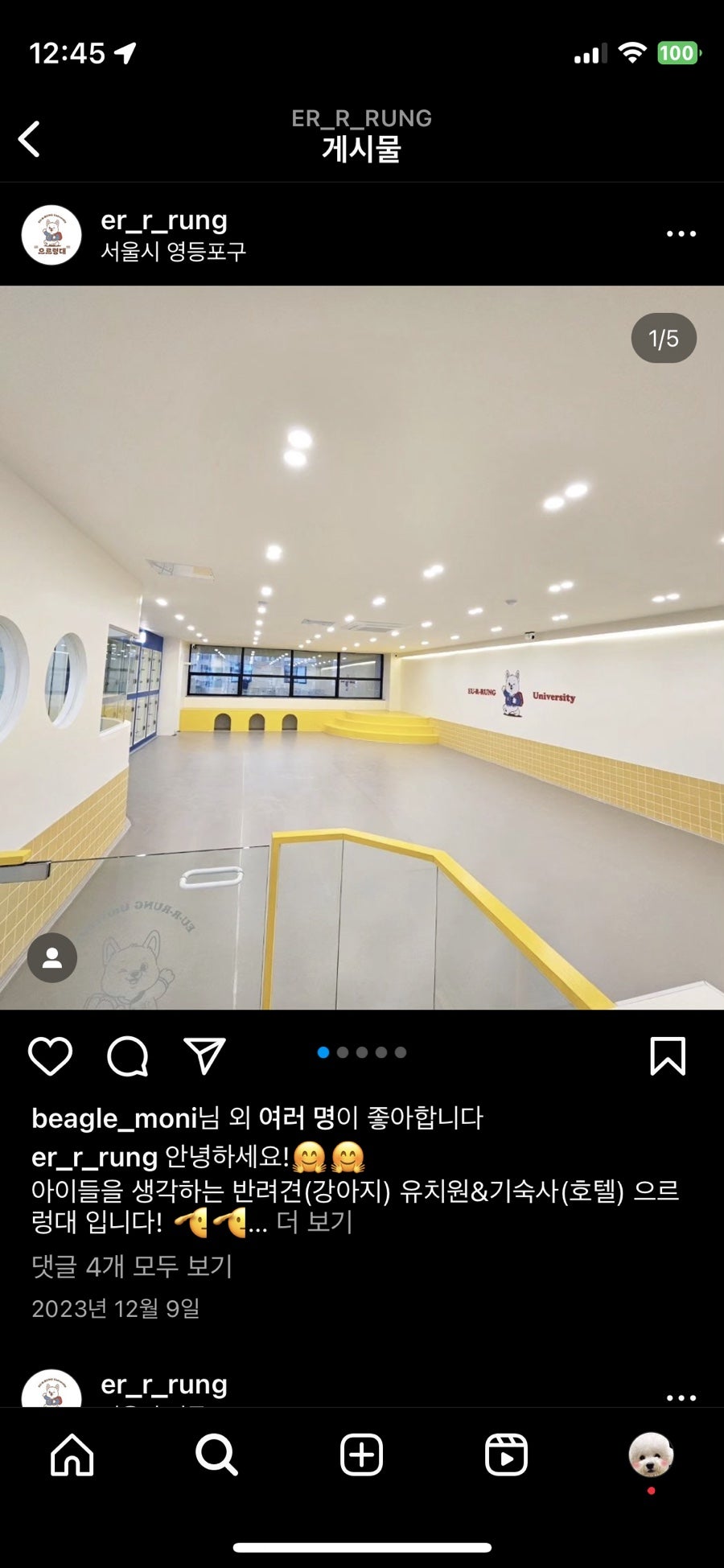 영등포 강아지 유치원 '으르렁대' 방문 후기 및 비용 — 사진 7