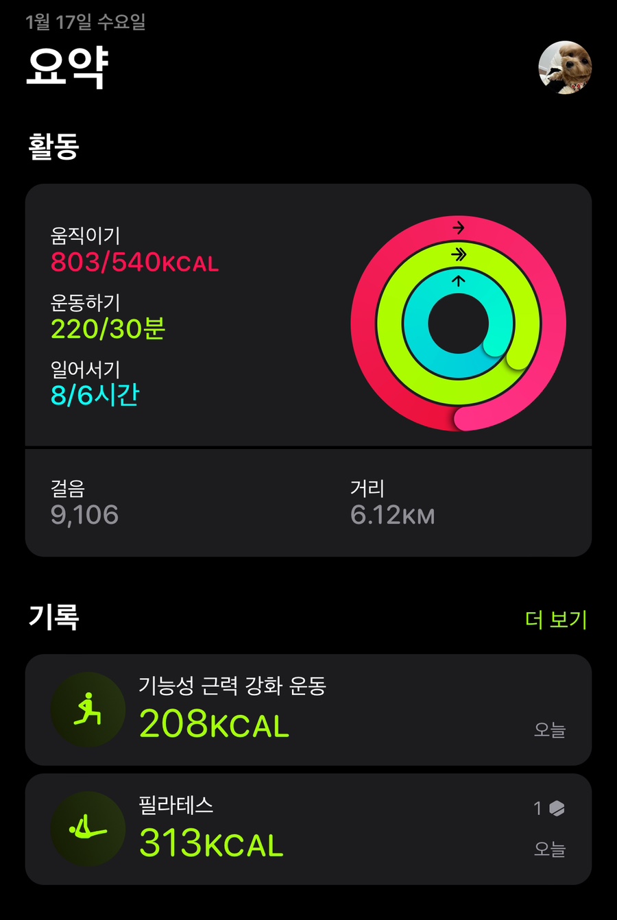 용토끼 이미지