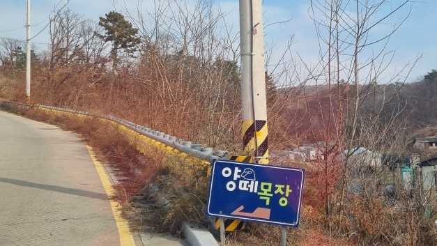 법인울산양떼목장 이미지