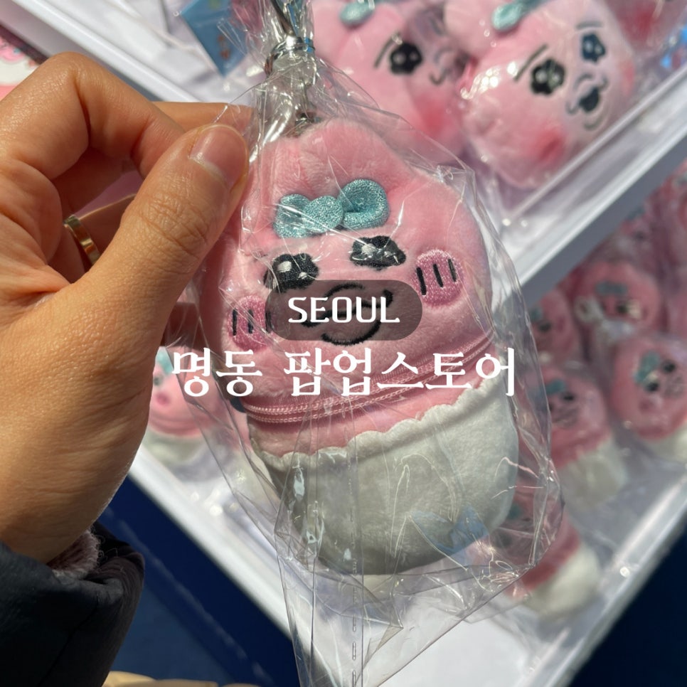 빤쮸하우스 이미지