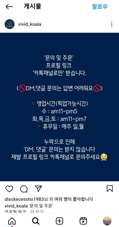 비비드코알라 이미지