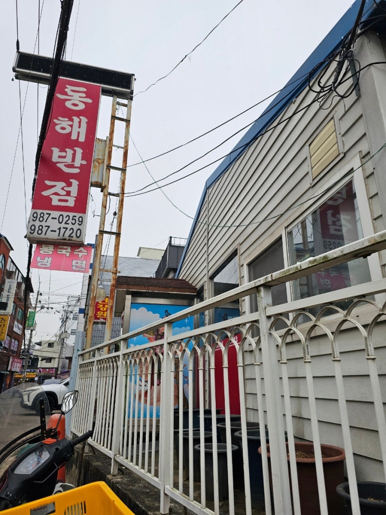통진반점 이미지