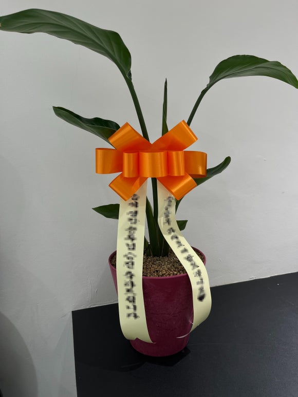핑킹클럽 이미지
