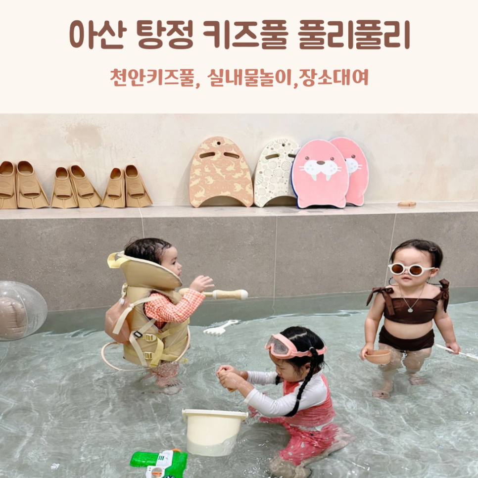 풀리풀리 이미지