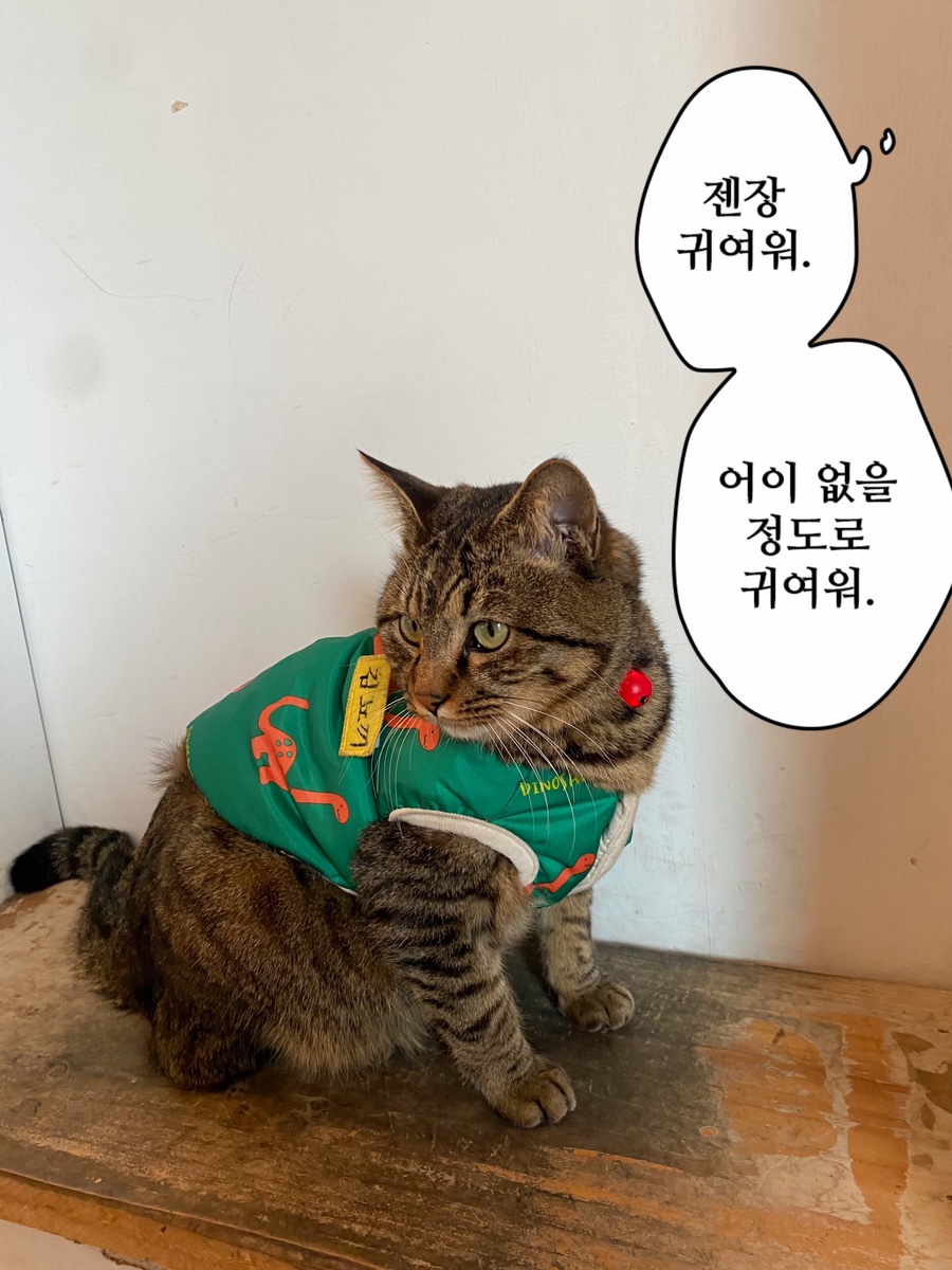 더빌리지샵 이미지