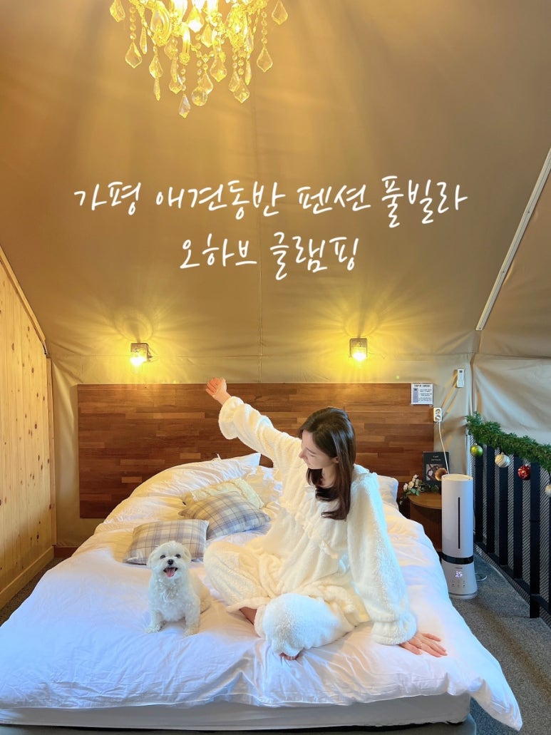 운동장당구장 이미지