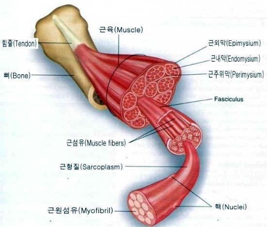 크로스핏그라운드제로 이미지