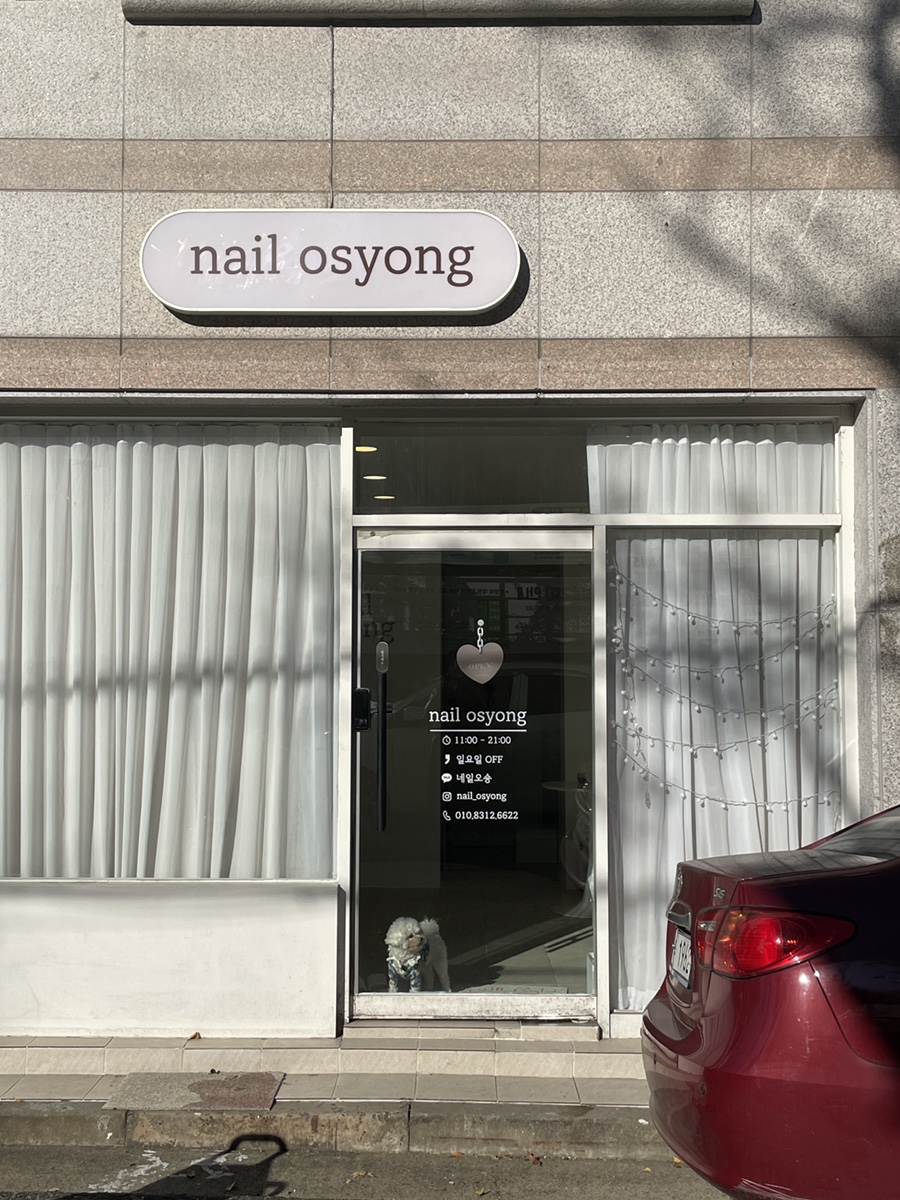 네일오숑 이미지